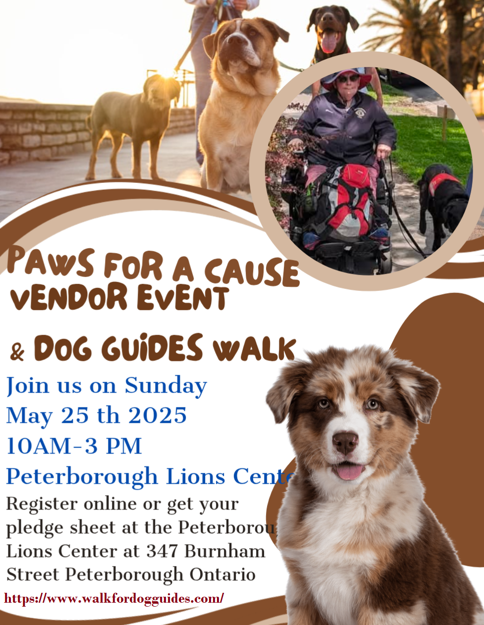 Paws For A Cause Dog Guides Walk - image
