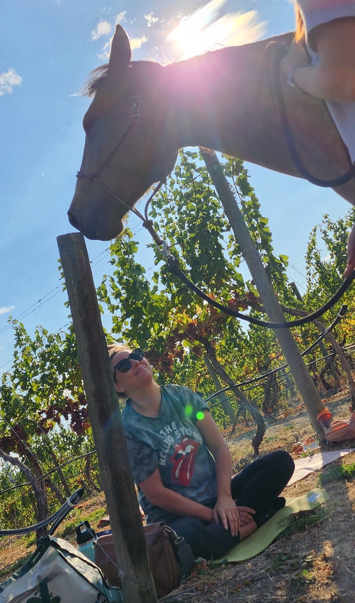 Yoga & Horse Meditation Among the Vines at The View Winery!! - image