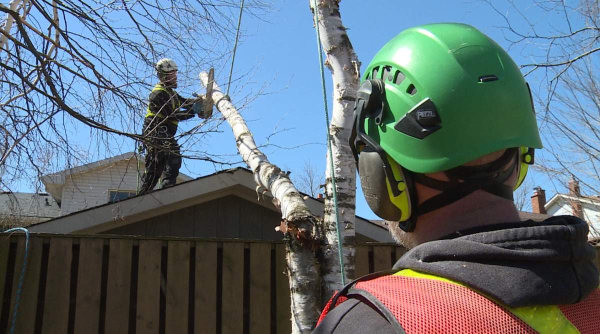 Evan Noland, and his brother Mark, say they’ve been working upwards of 12 hours a day responding to calls from Peterborough residents.