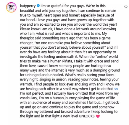 A screenshot of Katy Perry's Instagram comment.