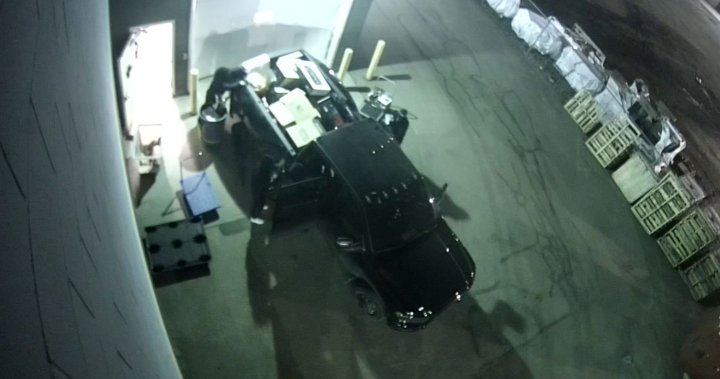 Музикален магазин в Едмънтън моли за помощта на обществеността след