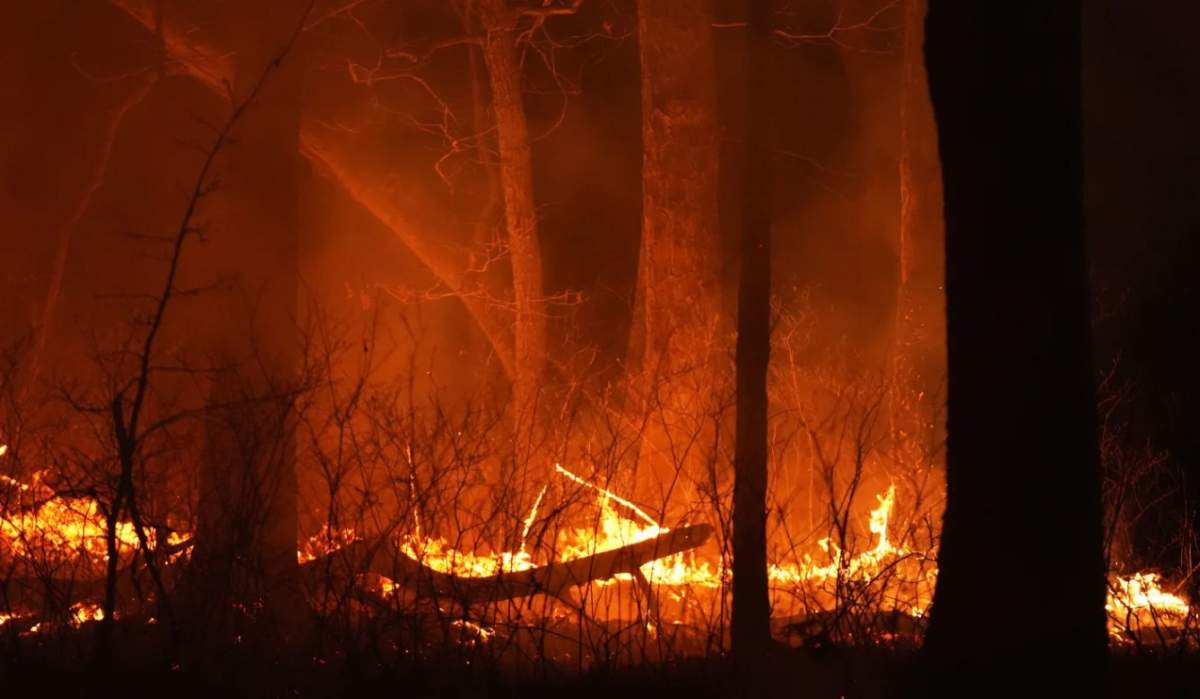 A fire burns on Tuesday, April 22, 2025, near Waretown, N.J.
