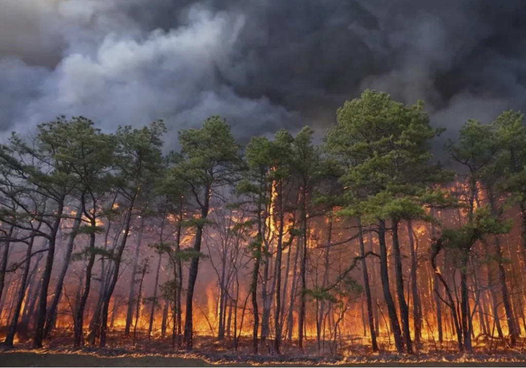 Мъж от Ню Джърси е арестуван и е изправен срещу