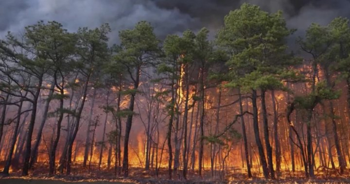 Мъж от Ню Джърси е арестуван и е изправен срещу