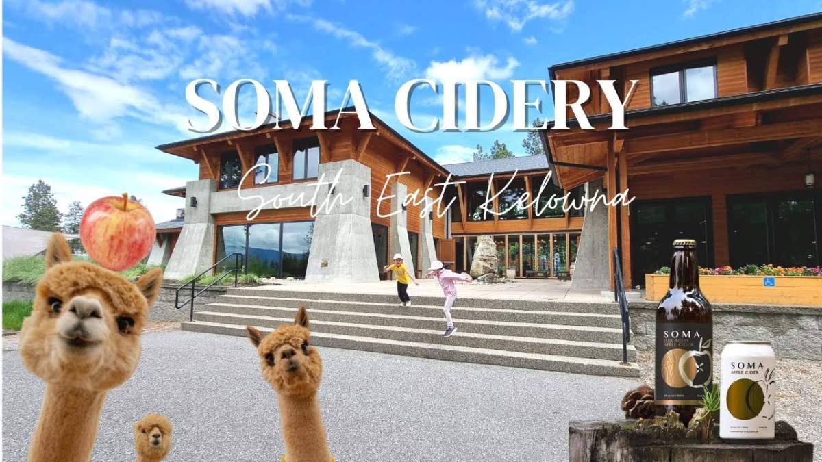 Waves & Wellness: Ocean-Inspired Yin Yoga & Ocean Drums at Soma Cidery! - image