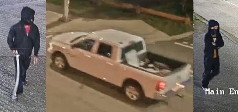 Полицията в Сури са пуснали изображения на заподозрени във вандализма