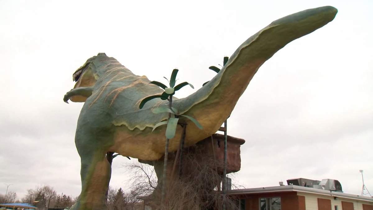A petition to save Drumheller's most famous dinosaur, Tyra, from extinction, has now garnered more than 20,000 signatures.