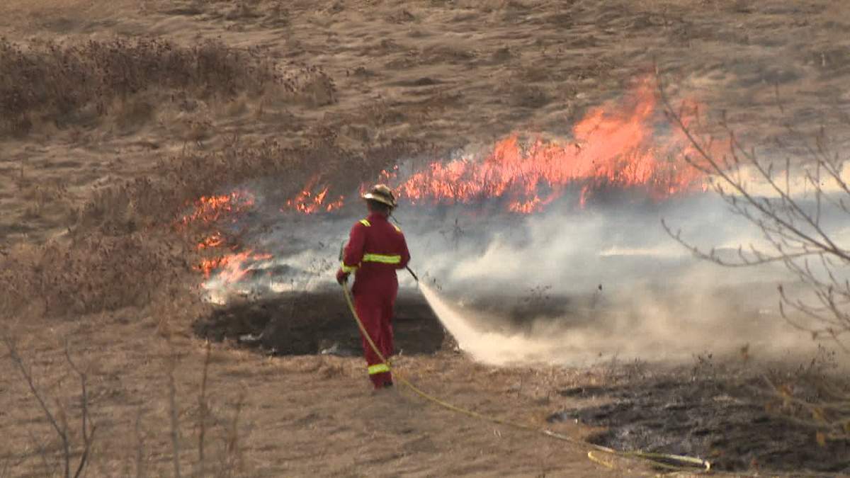 Smoke and flames from a large grass fire burning just west of Deerfoot Trail, near the Calgary Zoo, were visible across a large part of northeast Calgary early Thursday morning.