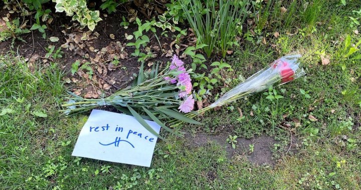 14 годишно момче от Пикинг Онтан src https d21y75miwcfqoq cloudfront net 70c8fc80 alt style position absolute width 1px height 1px referrerpolicy no referrer when downgrade The teen