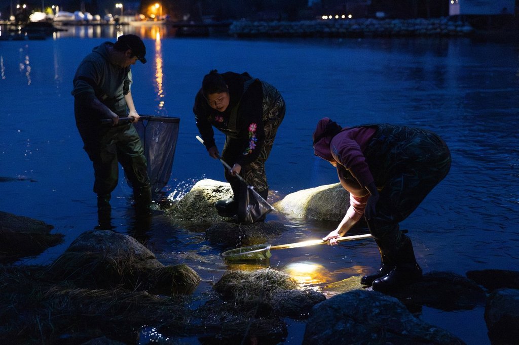 Лицензирана бебешка змиорка Фишър казва че е изпращал доказателства на
