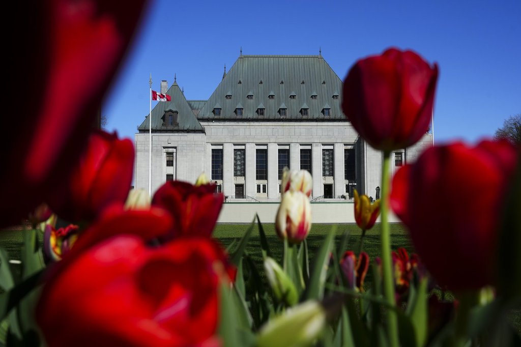 The Supreme Court of Canada (SCOC) is framed between tulips in Ottawa on Monday, May 6, 2024.