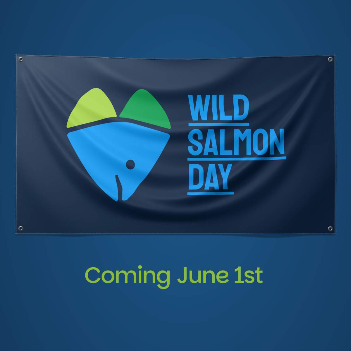Global BC Supports Wild Salmon Day - image
