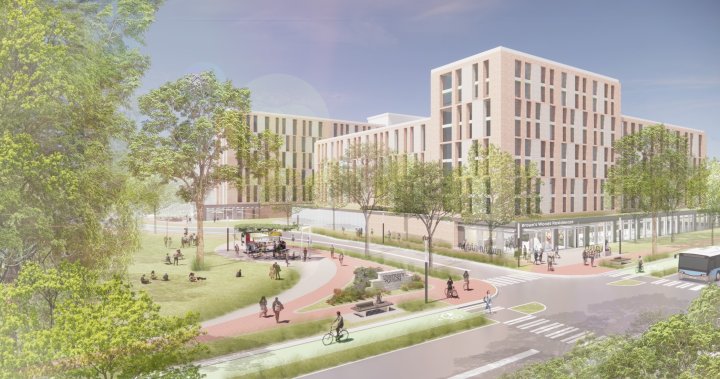 Университетът в Гюлф е създал това което нарича смела стратегия