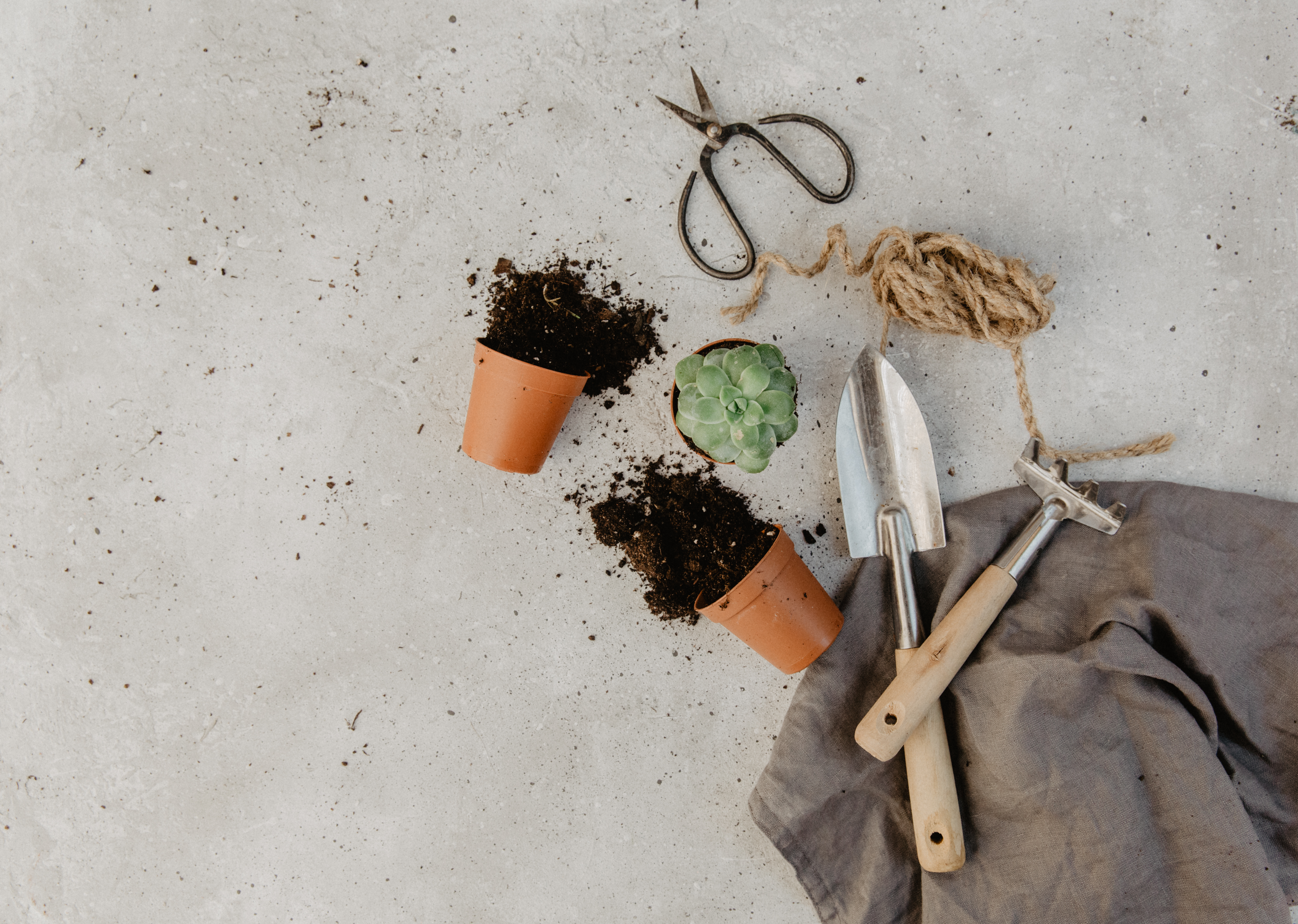 Кураторът независимо решава какви теми и продукти представяме Когато закупите