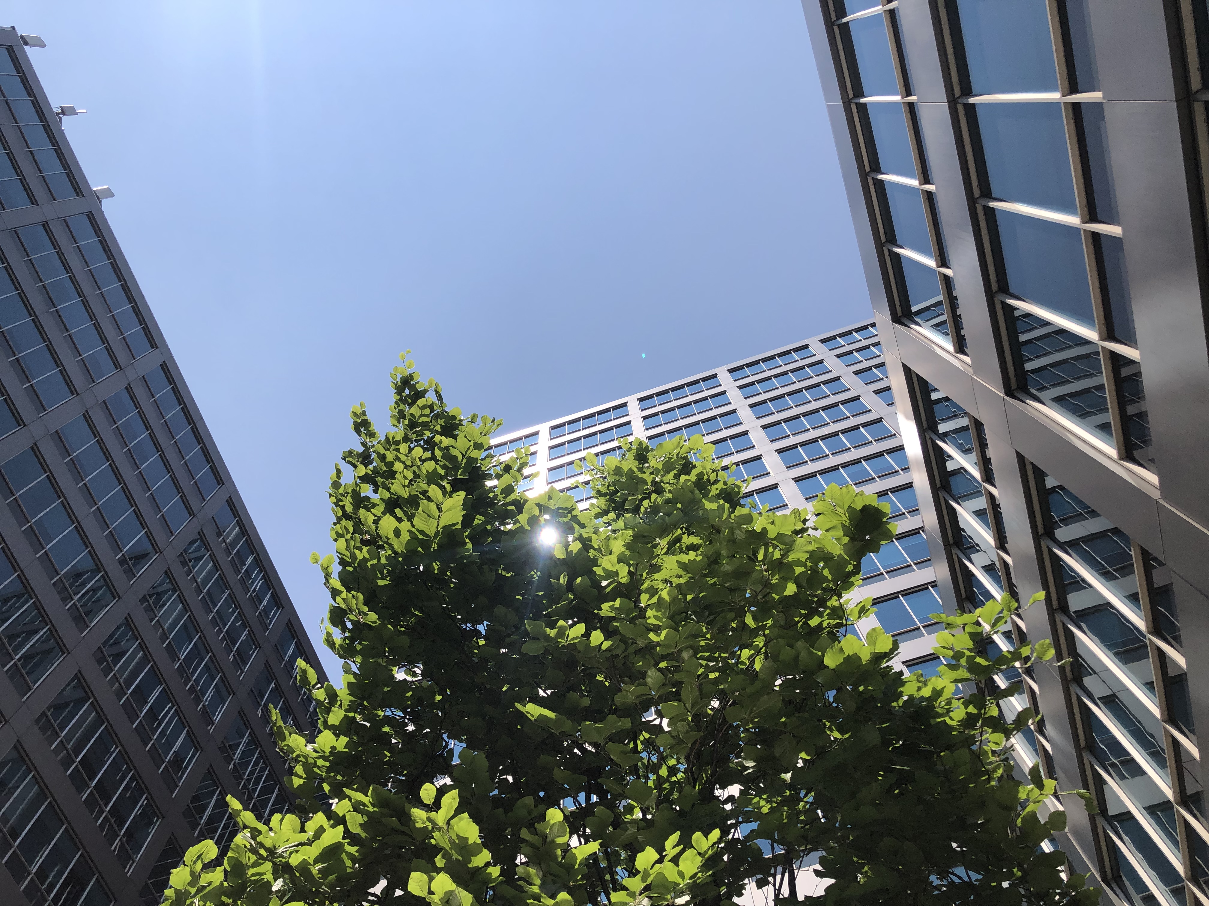 Основно парче от климатичния план на Торонто изглежда е в