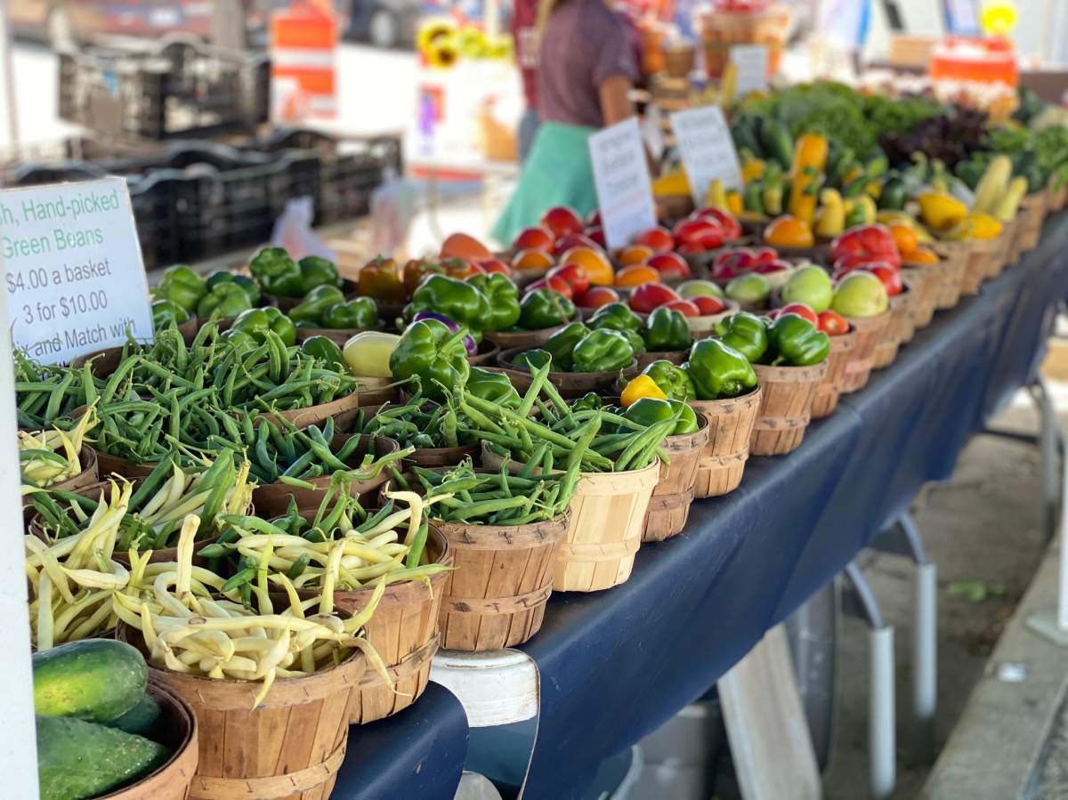 Food Talk and therapeutic horticulture were added to the monthly food market this year. Food is distributed to more than 350 seniors across eight subsidized housing locations.