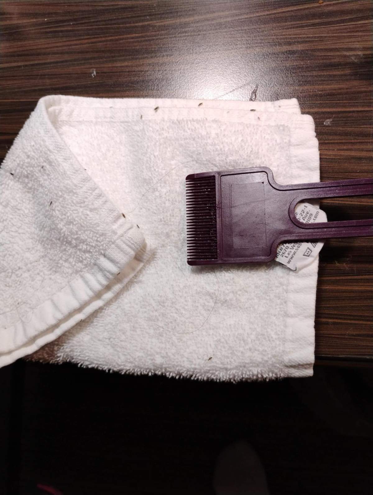 A Winnipeg family says a child welfare agency put children in hotels for two weeks leaving them to delouse themselves.