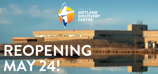 Oak Hammock Marsh – Grand Reopening! - image