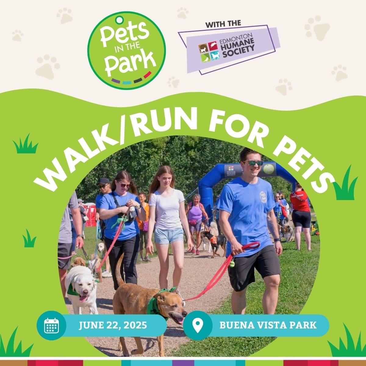 Global Edmonton Supports EHS Pets in the Park & Walk/Run - image