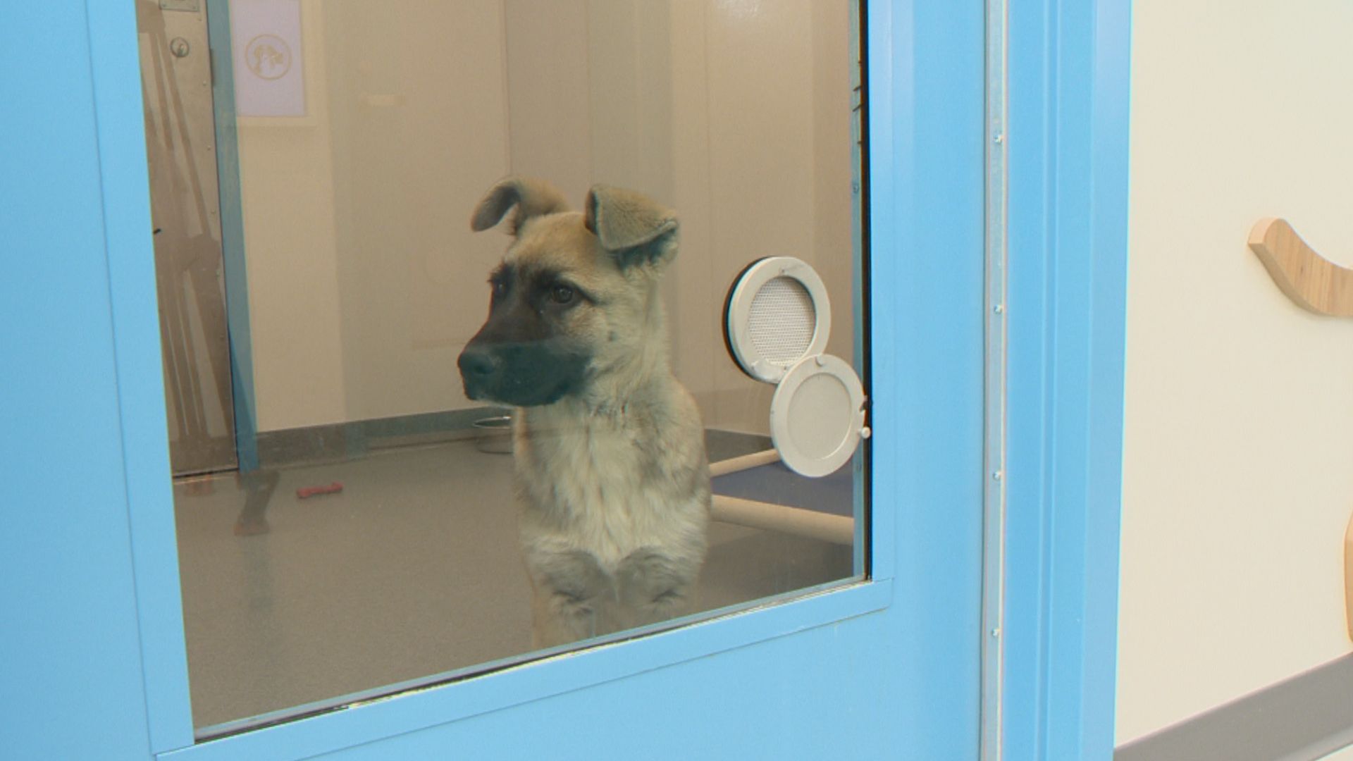 Около началото на май Обществото Reginahumane беше над ограничението на