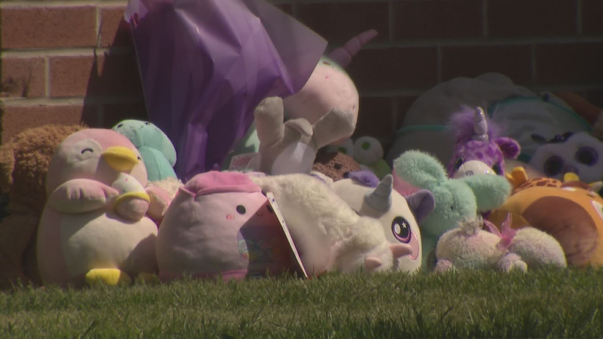 пътуване за гледане на фойерверките на Деня на Виктория в