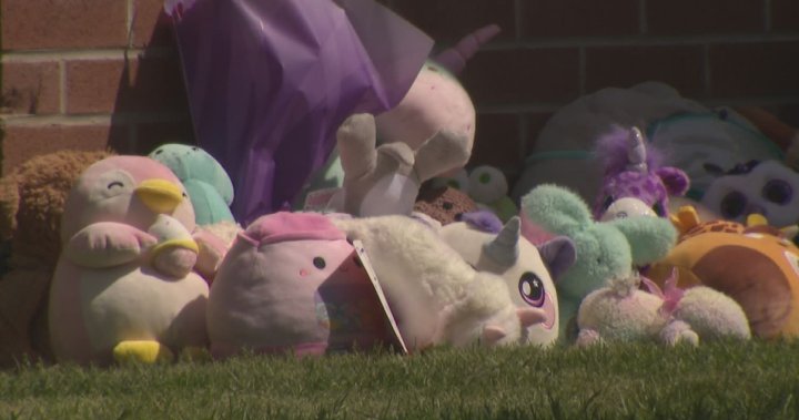 пътуване за гледане на фойерверките на Деня на Виктория в