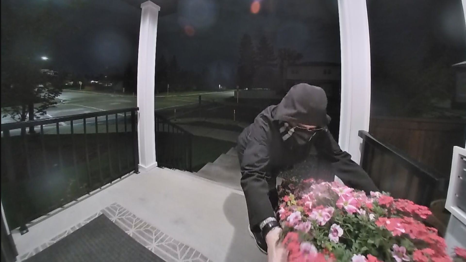 верандата пирати обикновено са известни с това че приемат пакети