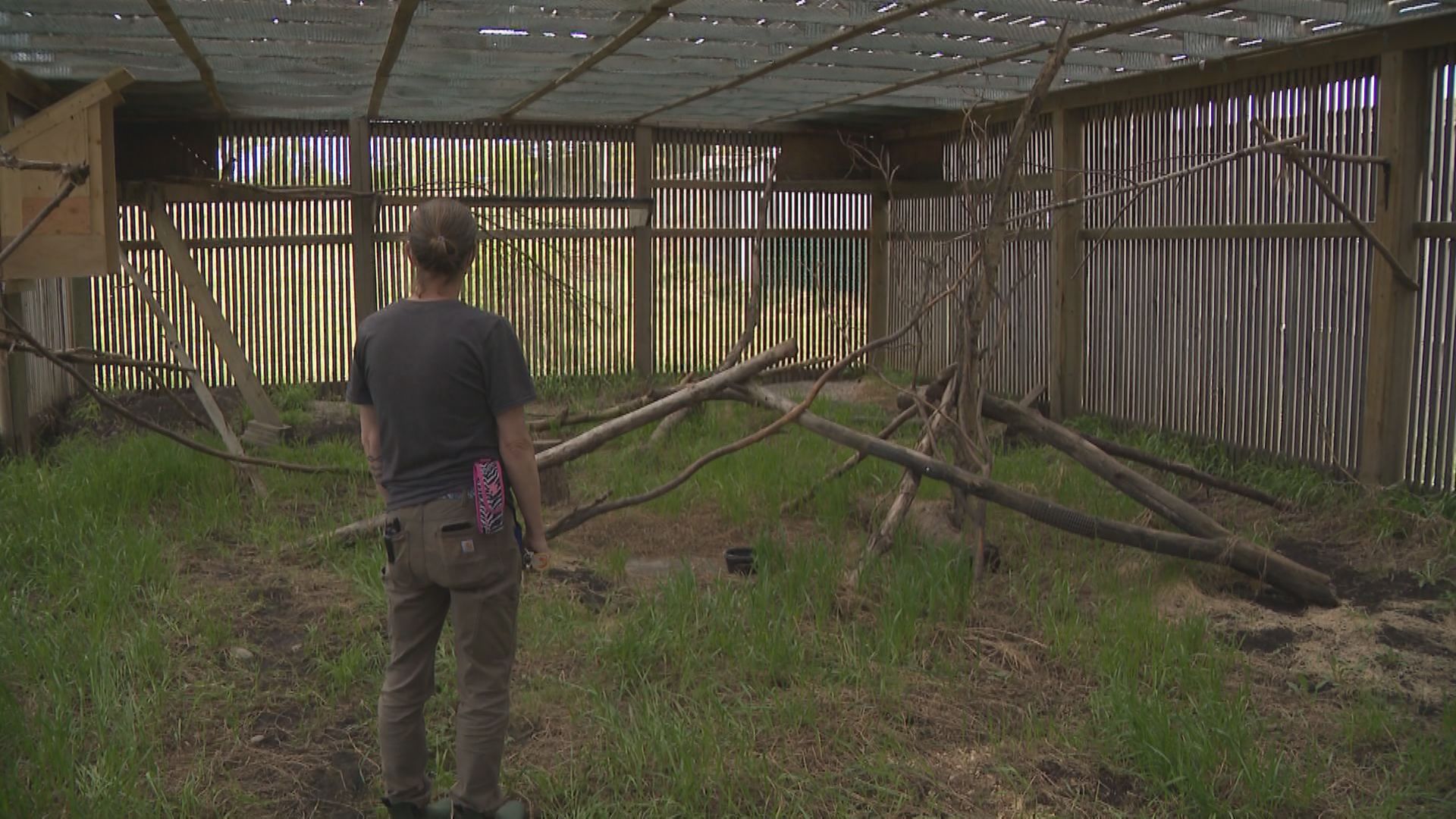 Центърът за рехабилитация на дивата природа в Калгари е принуден