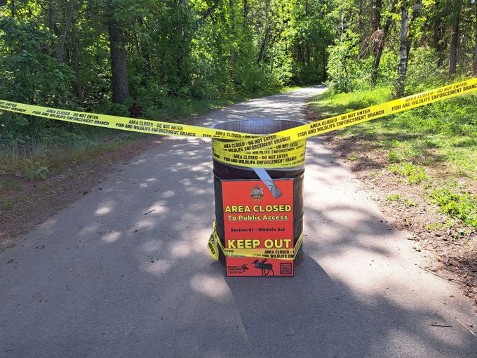 A trail closed in east Edmonton due to an aggressive mother moose and her calf in the area in May 2025.