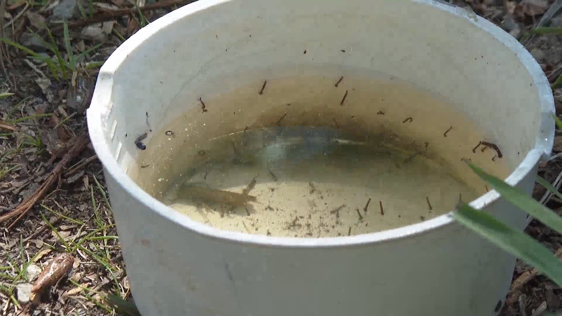 Град Калгари и Университета в Калгари се надяват да се