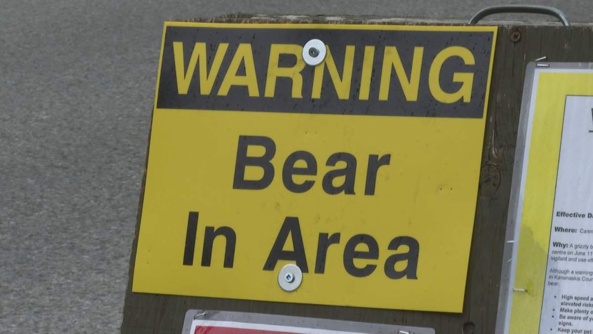 A sign posted in Kananaskis Country in June 2022 after a late spring forced bears to wander further afield looking for food, bringing some of them into conflict with humans.