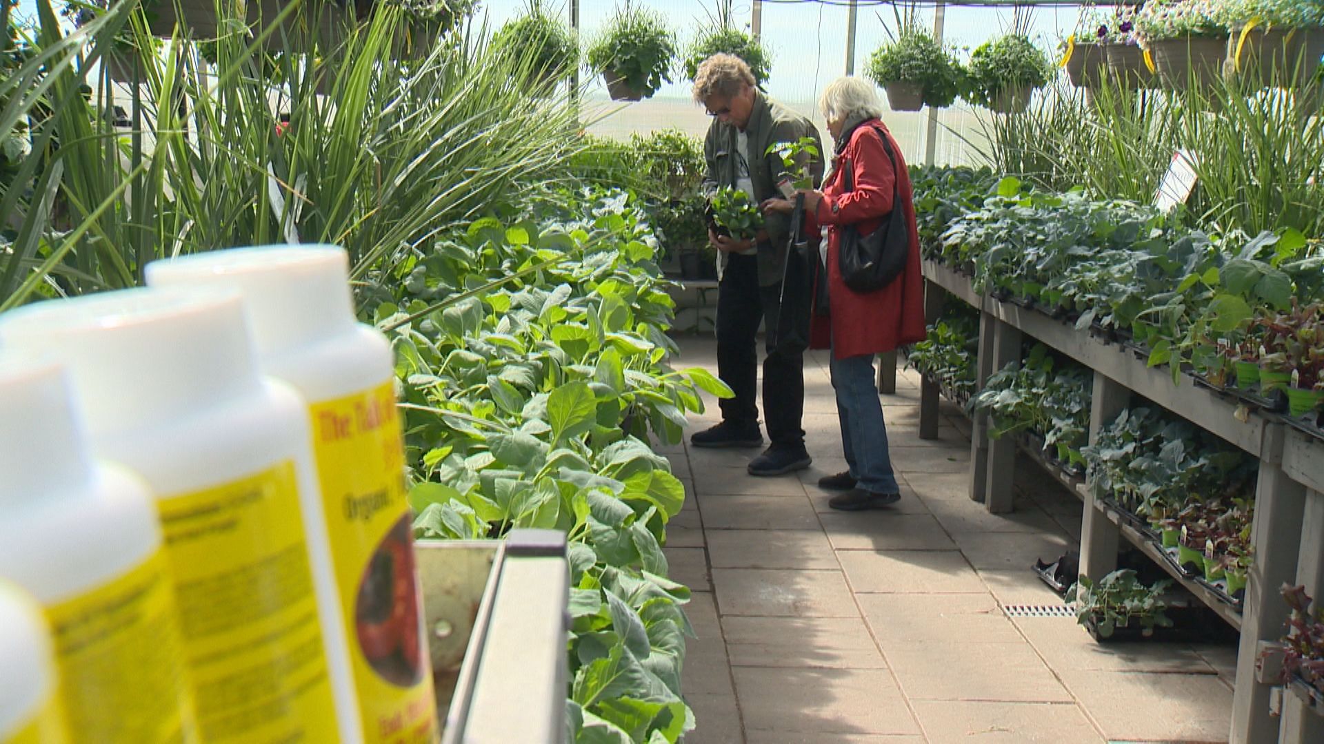 Тъй като цените на храните в магазините за хранителни стоки