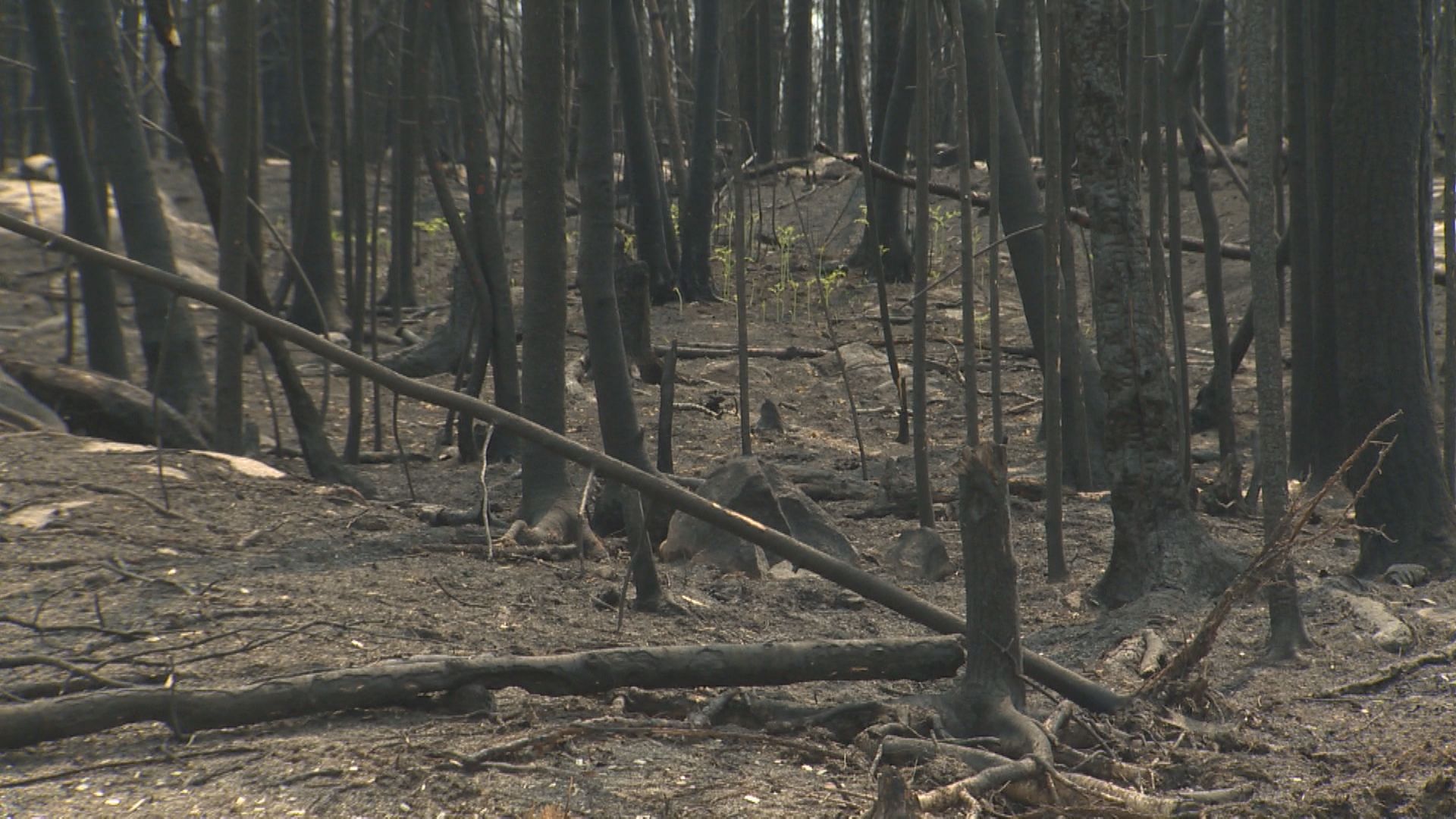 Много жители и вилари в Lac du Bonnet Man Се