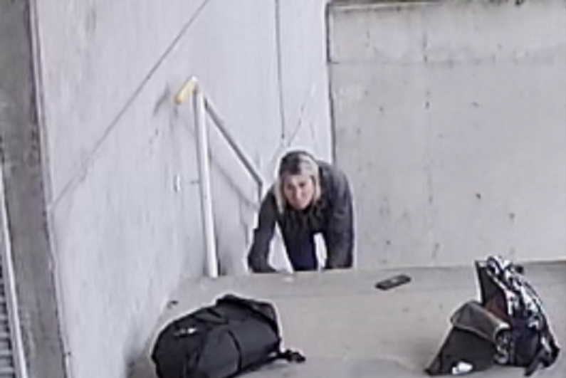 Port Moody B C police have released video of a what