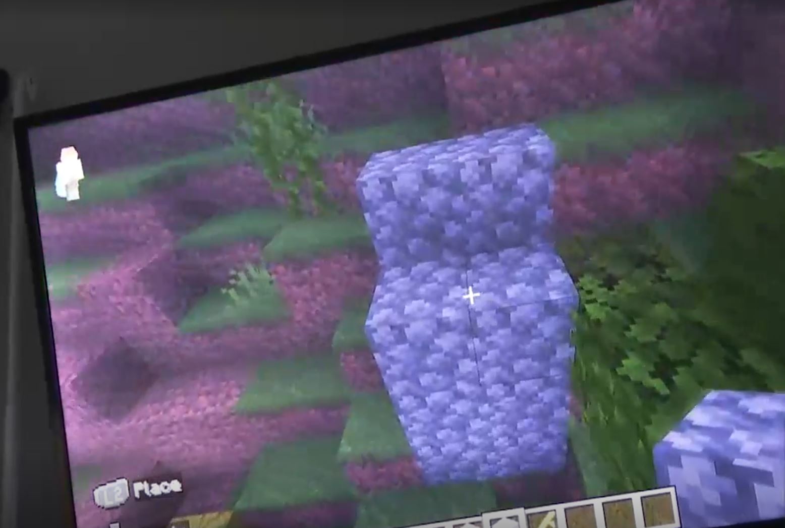 Тийнейджър от Алберта който вече е в ареста от страх