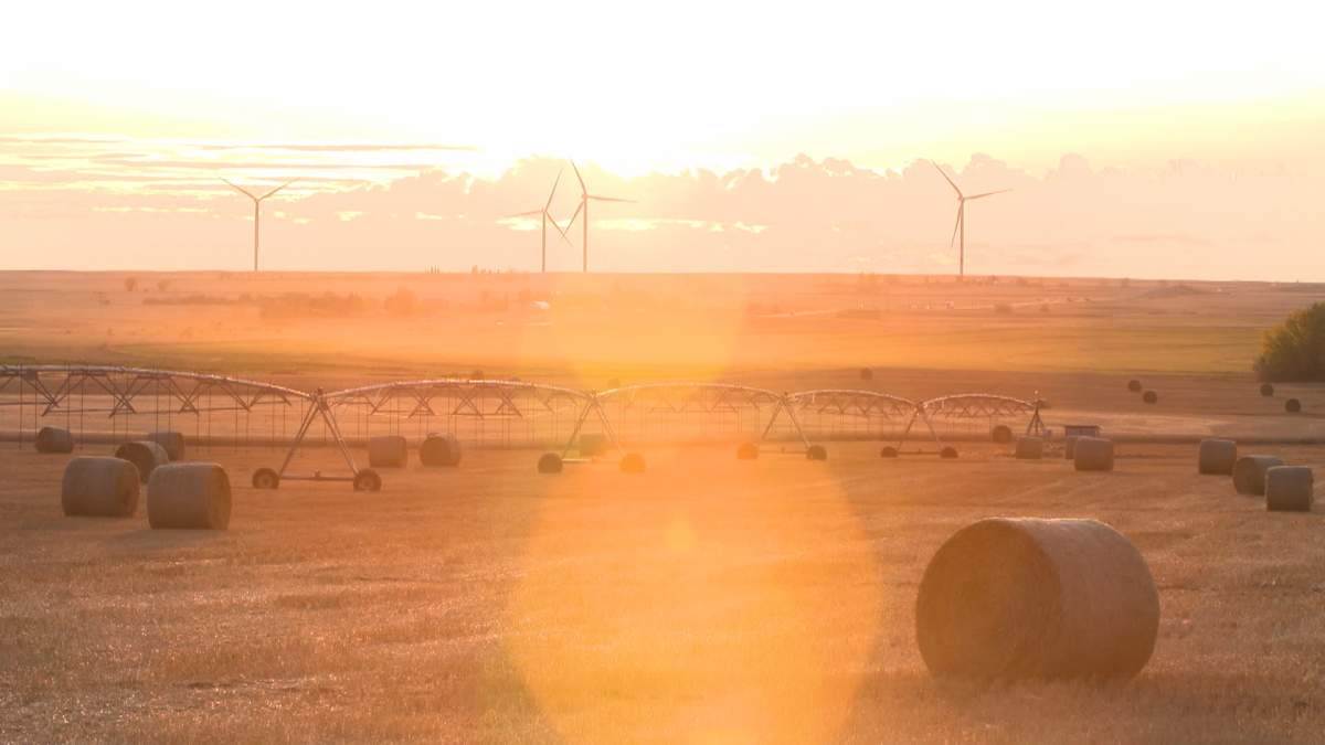 The Pembina Institute says the Alberta government has work to do to restore investors confidence in renewable energy in the province.