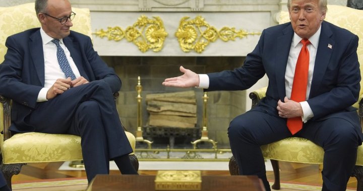 германският канцлер Фридрих Мерц заяви в петък ден след среща