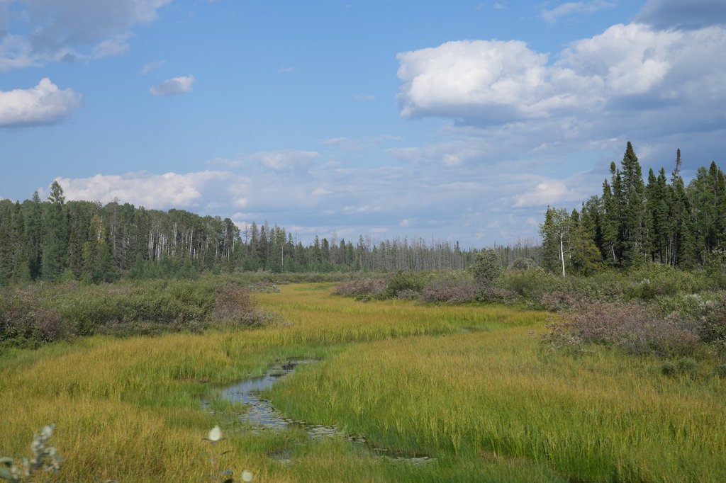 Предложен път към богатия на минерален огън в северния Онтарио
