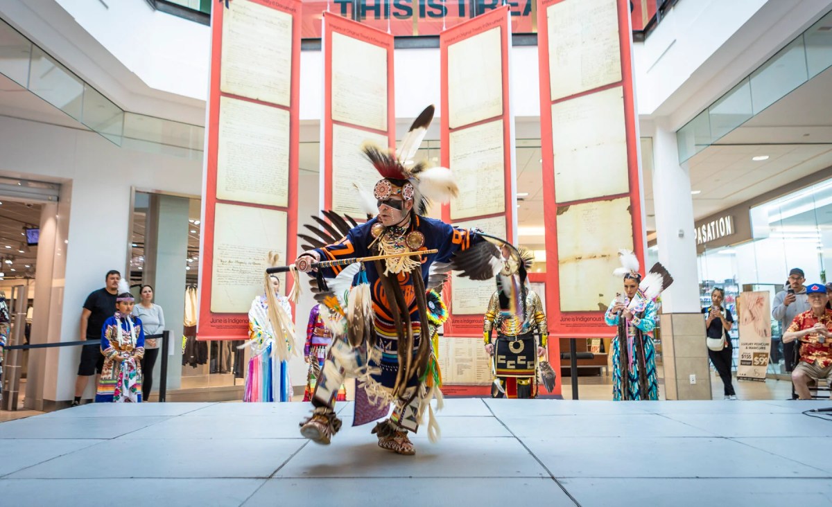 Celebrate National Indigenous Peoples Day at Kingsway Mall - image