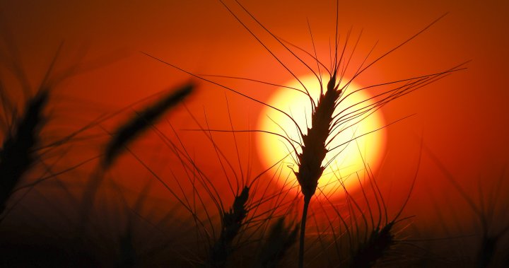 Един ден преди деня на Канада празник който много хора