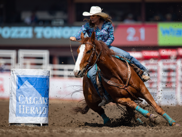 Calgary Stampede Rodeo, Supported by Global Calgary & QR Calgary - image
