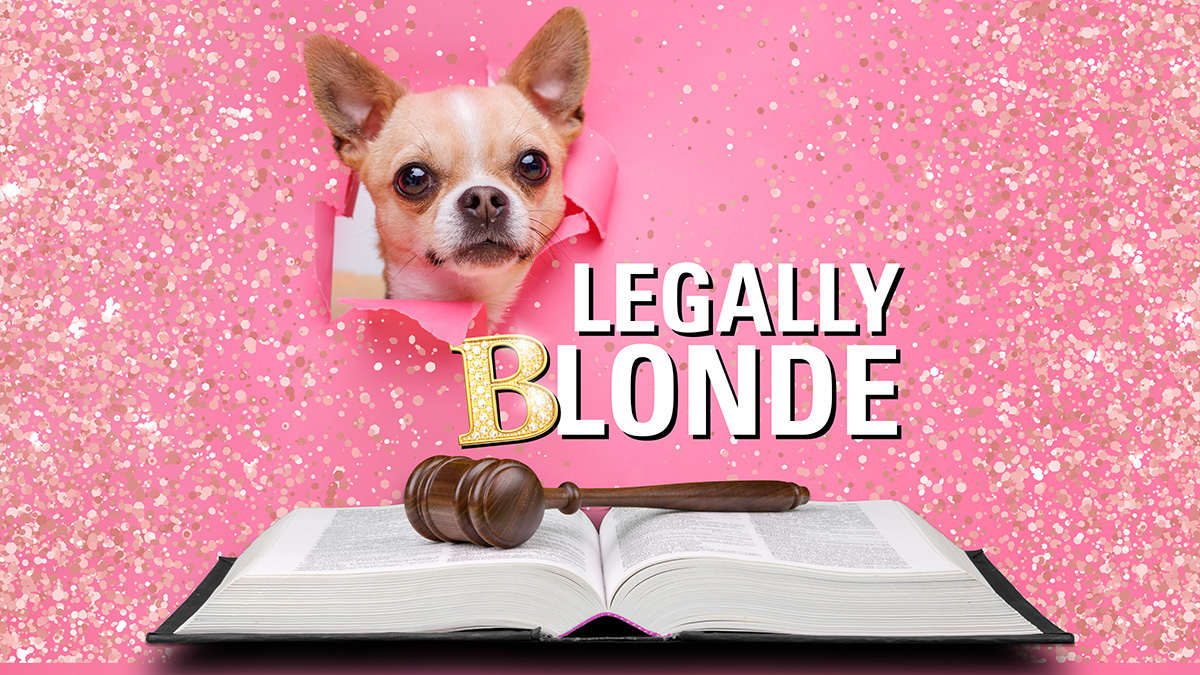 The Citadel Theatre presents Legally Blonde - image