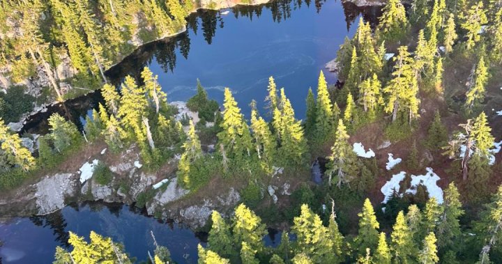 A search will begin Monday for a missing man who