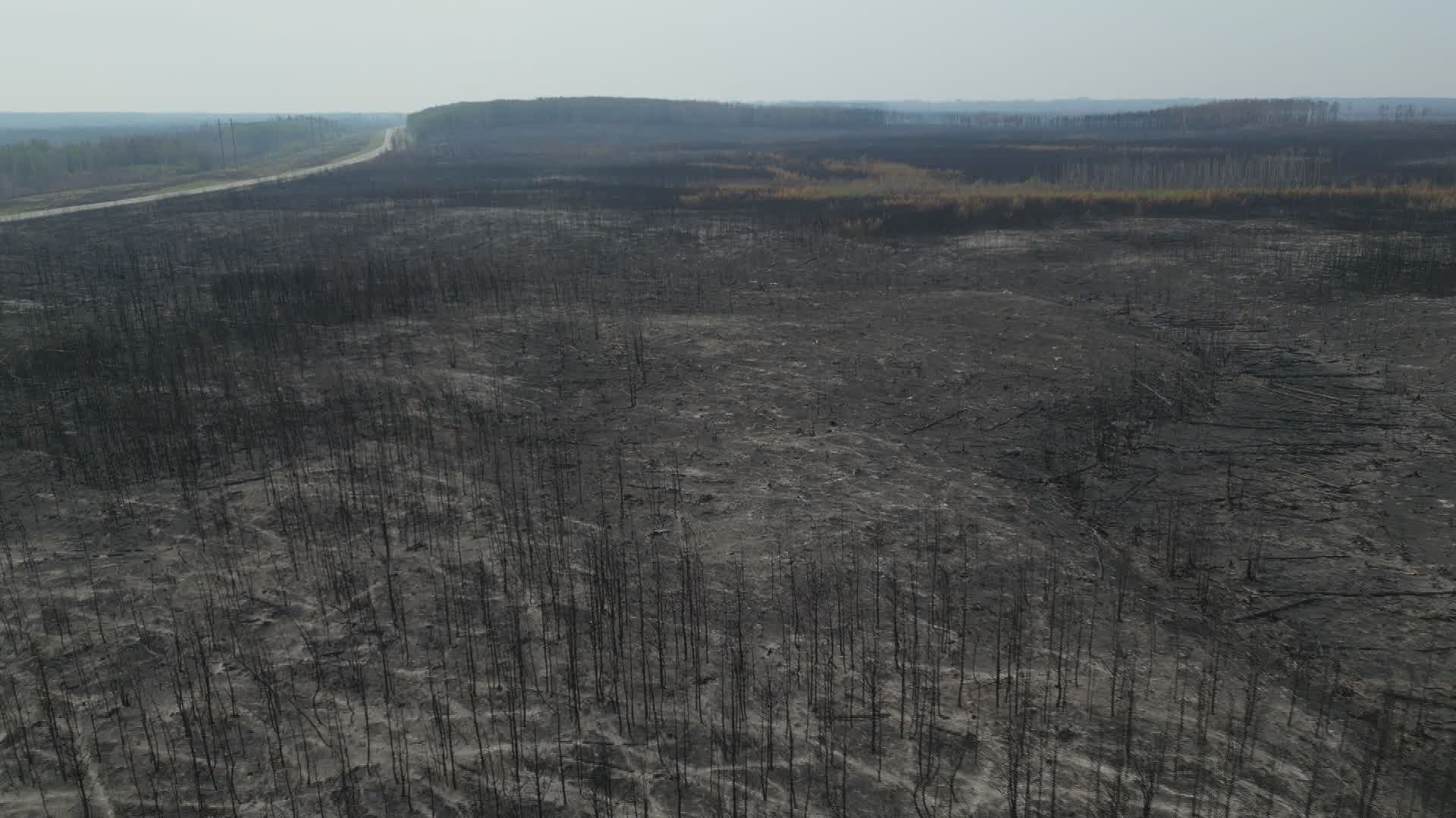 автобуси и превозни средства натоварени с евакуирания се връщат обратно