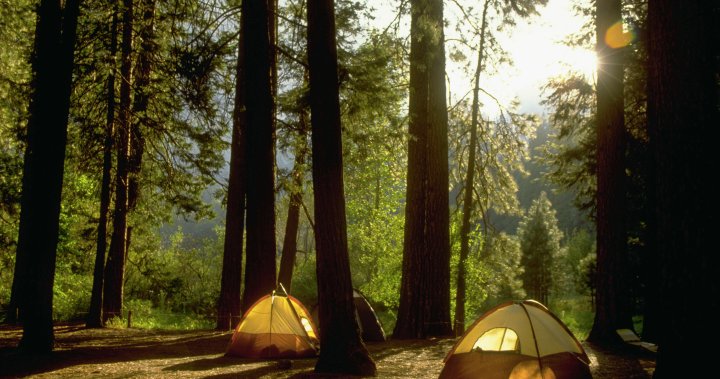 Кураторът независимо решава какви теми и продукти представяме Когато закупите