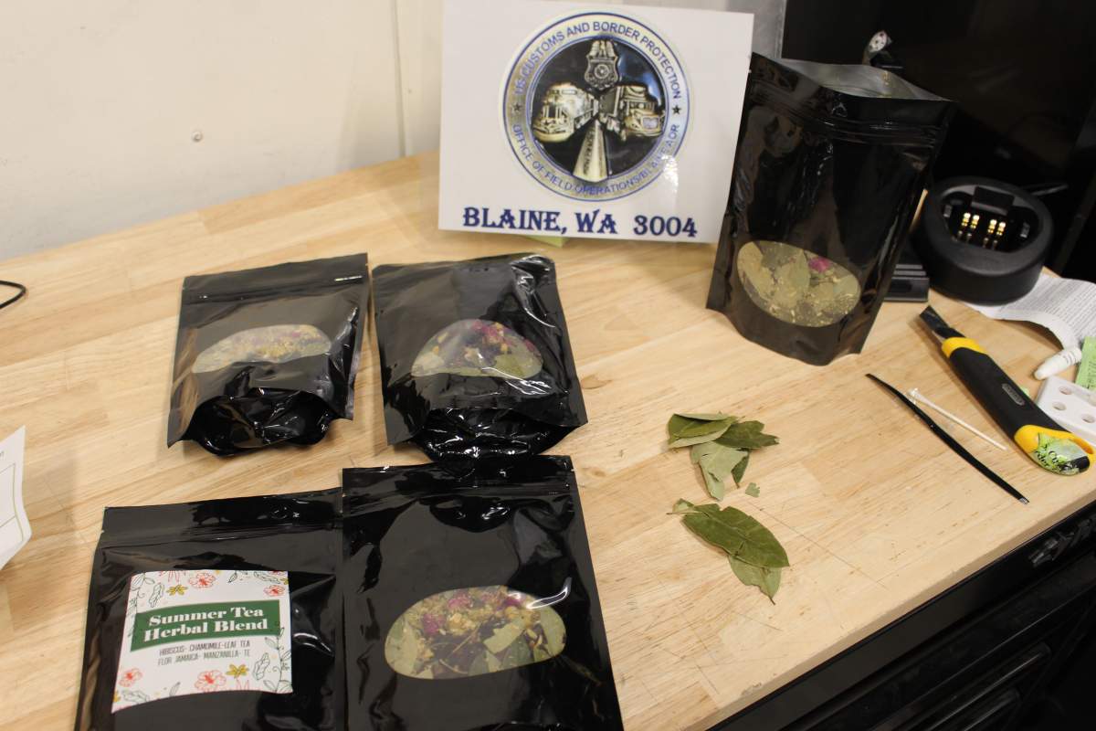 June 1: 39 grams of herbal tea laced with cocaine concealed in express consignment (ex. Fedex, ups, etc) at the Pacific Hwy crossing.