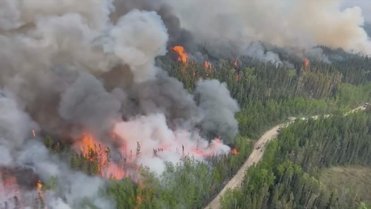 The SHOE fire seen from above. Burning trees with fire crews on a dirt road working on the fire line.