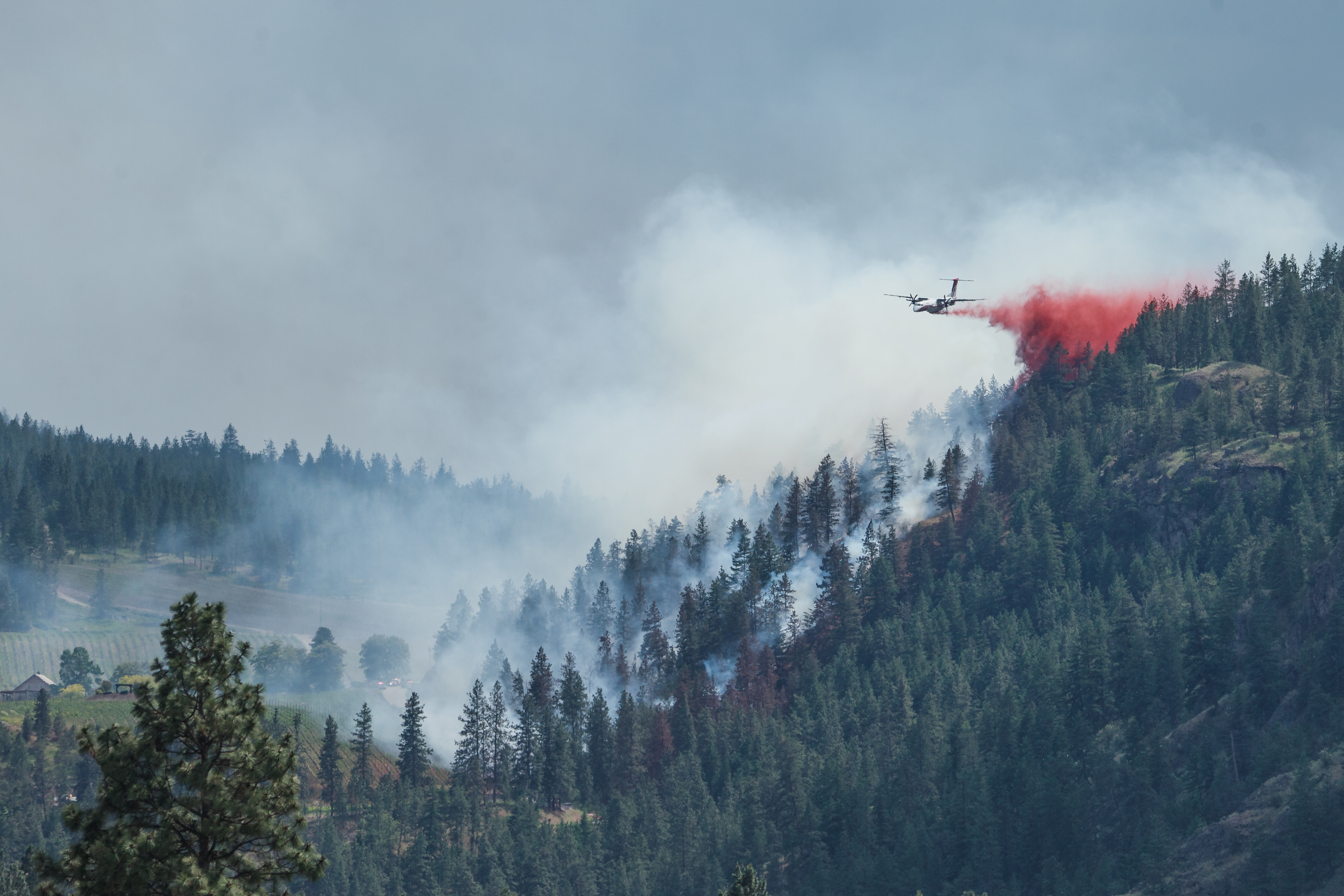 Пожарните екипажи и въздушни танкери се справят с див огън