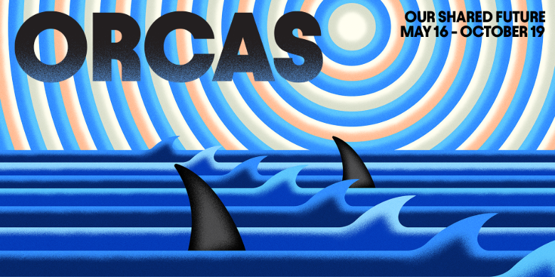 880 CHED Supports Orcas: Our Shared Future at the Royal Alberta Museum - image