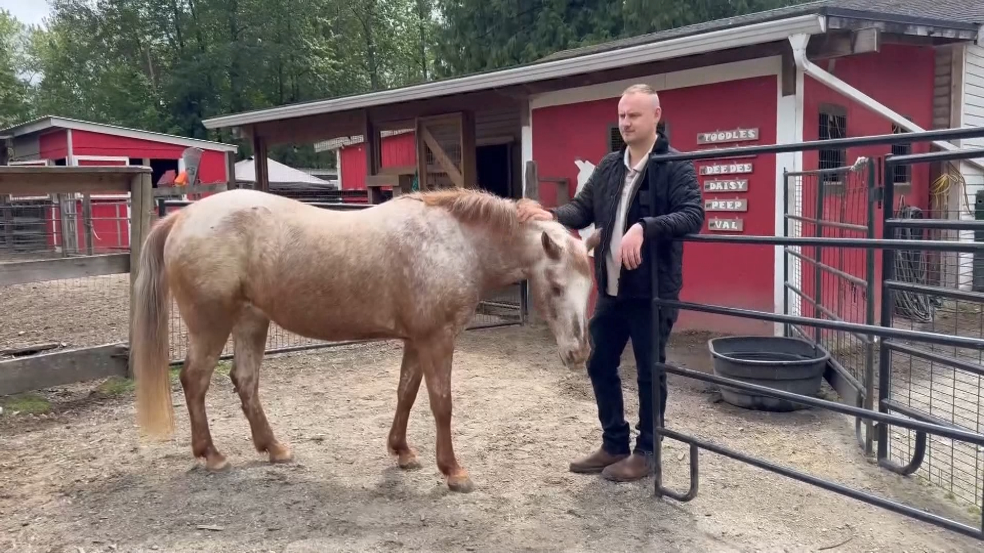 An animal rescue organization that takes in senior and special